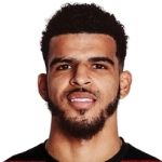 Dominic Ayodele Solanke-Mitchell